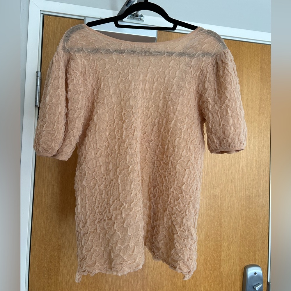 Zara Sheer Open Back Blouse